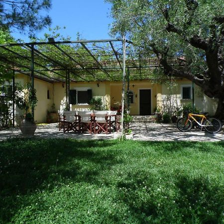 Theni Olive Grove Villa Kato Yerakarion 외부 사진
