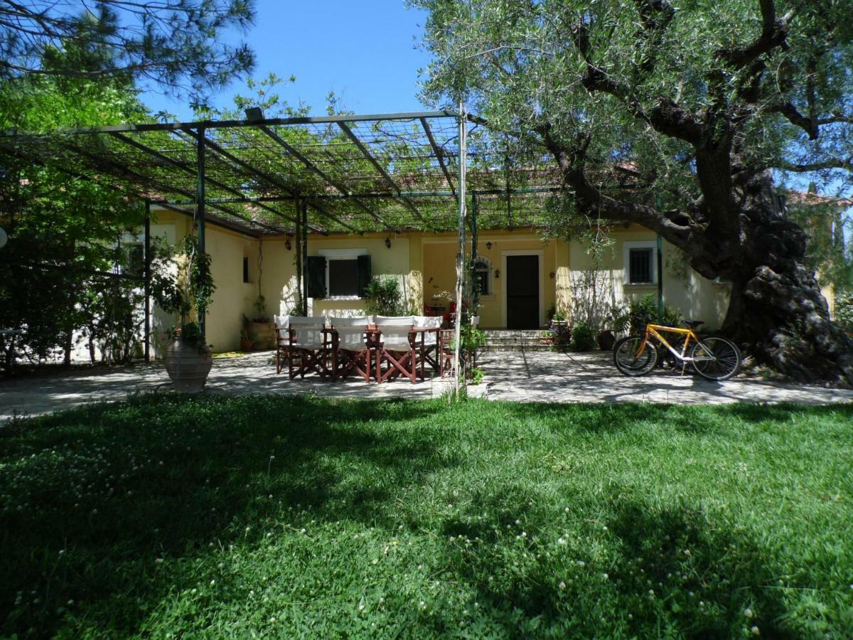Theni Olive Grove Villa Kato Yerakarion 외부 사진
