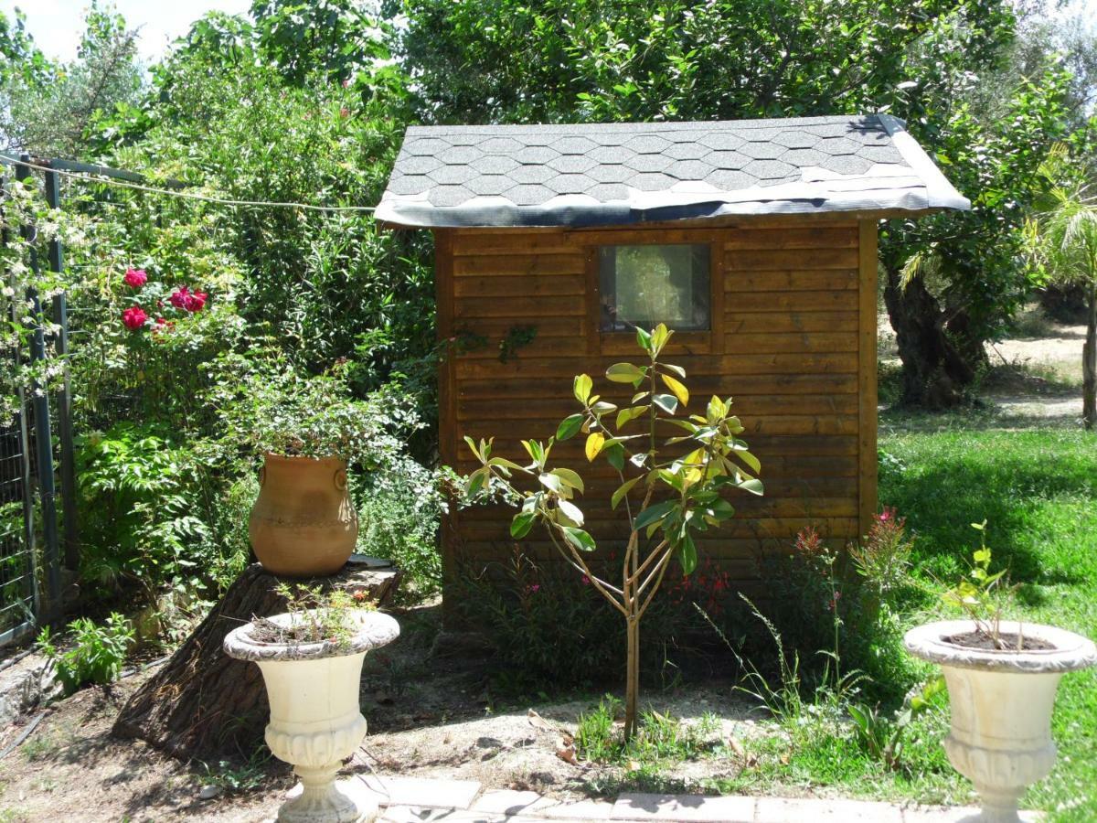 Theni Olive Grove Villa Kato Yerakarion 외부 사진