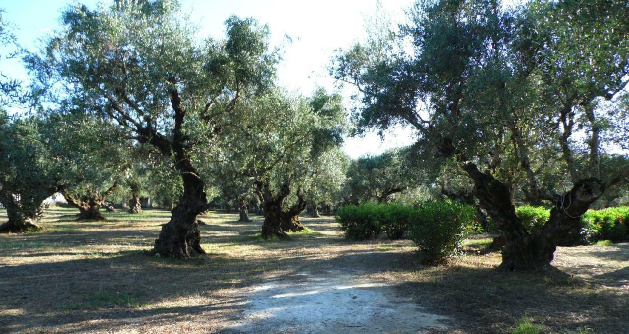 Theni Olive Grove Villa Kato Yerakarion 외부 사진