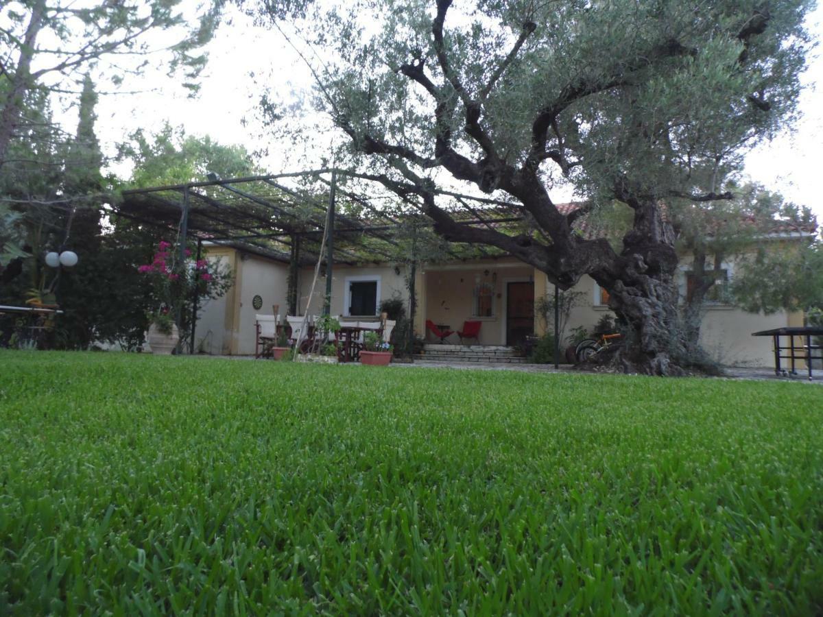 Theni Olive Grove Villa Kato Yerakarion 외부 사진